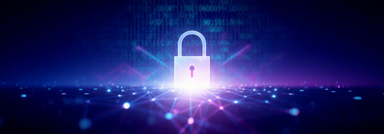 Encrypted digital stream representing high-level data privacy